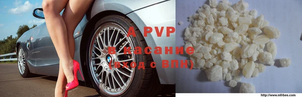 крисы Бородино