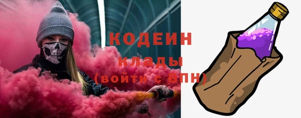 крисы Бородино