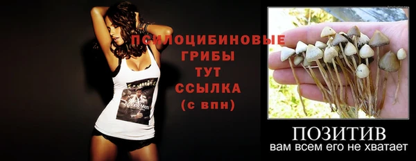 твердый Бронницы