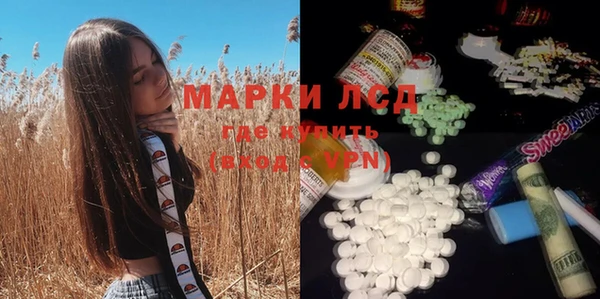 крисы Бородино