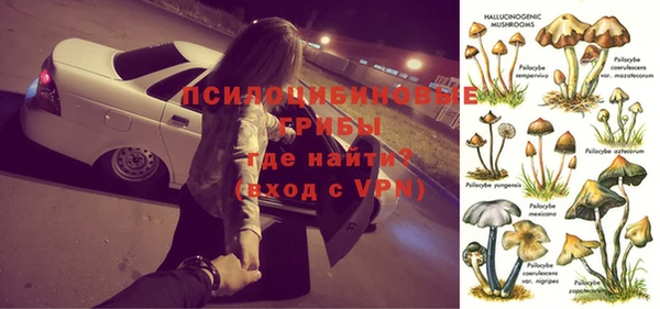a pvp Верхний Тагил