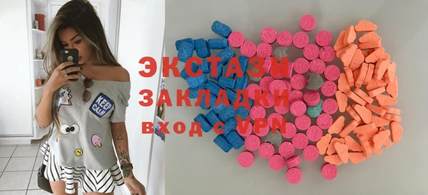 крисы Бородино